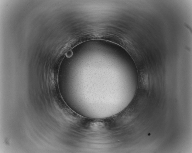 X0000100420220200806131106