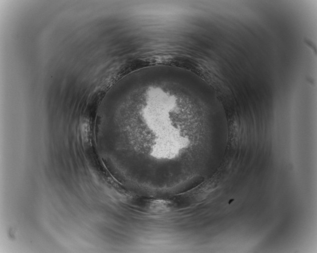 X0000100420222200806131106