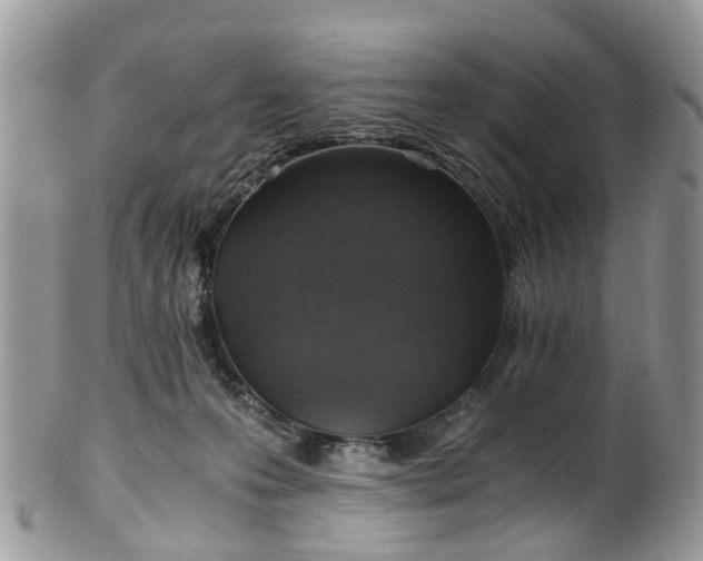 X0000100420223200806131106