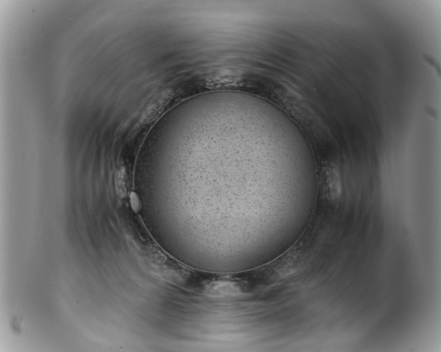 X0000100420224200806131106
