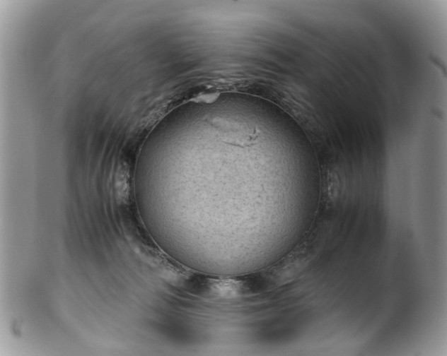 X0000100420226200806131106