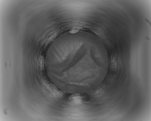 X0000100420228200806131106