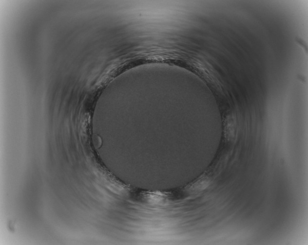 X0000100420229200806131106
