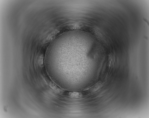X0000100420230200806131106