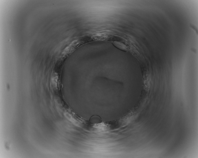 X0000100420231200806131106