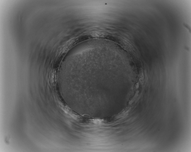 X0000100420233200806131106