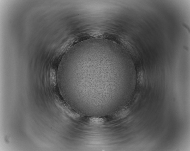 X0000100420234200806131106