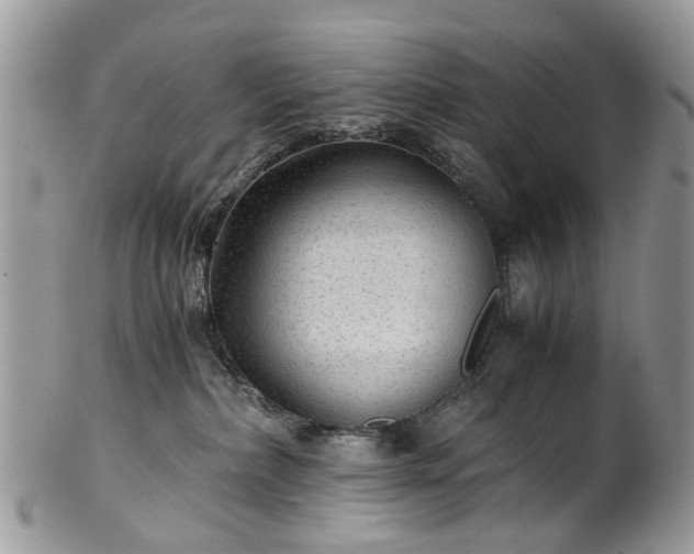 X0000100420236200806131105
