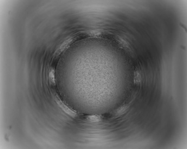 X0000100420238200806131105