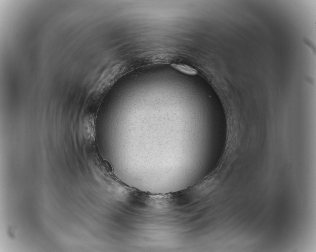 X0000100420240200806131105