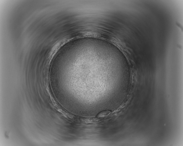 X0000100420241200806131105