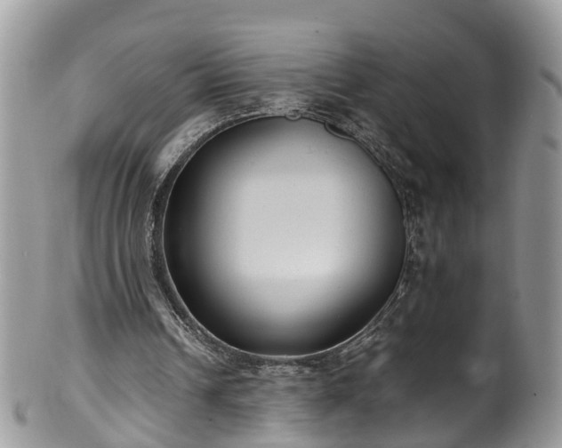 X0000100420242200806131105