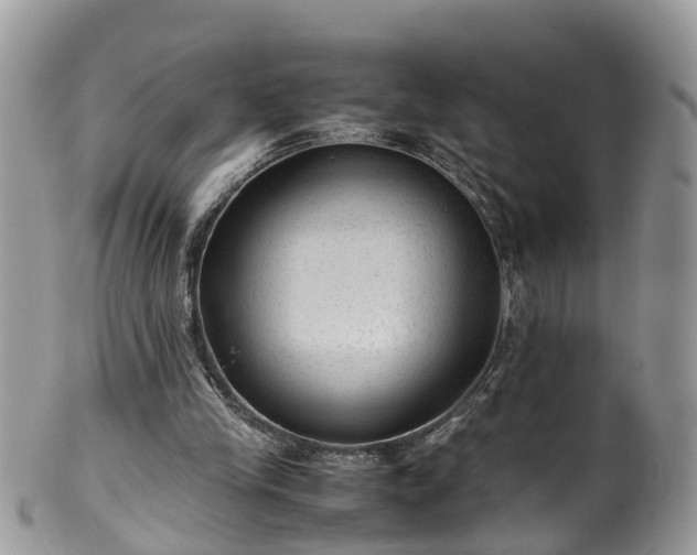 X0000100420245200806131105