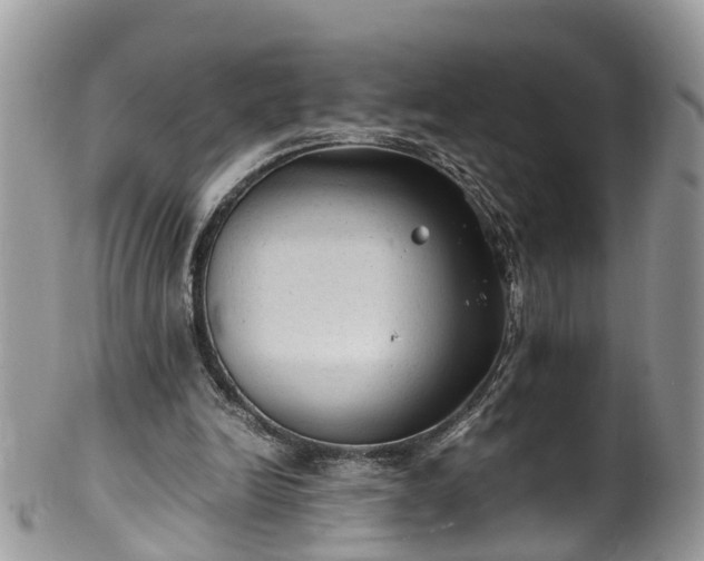 X0000100420246200806131105