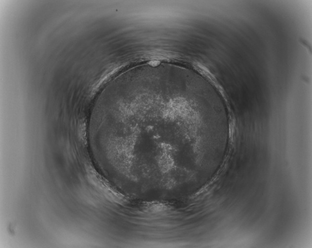 X0000100420249200806131105
