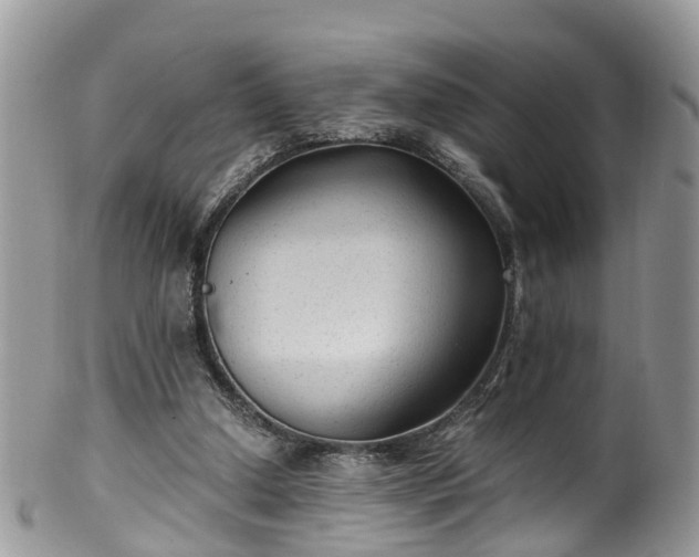X0000100420250200806131105