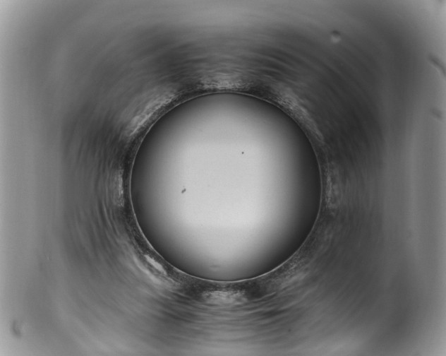 X0000100420251200806131105