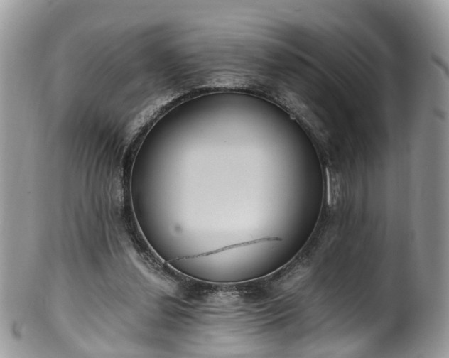 X0000100420252200806131105