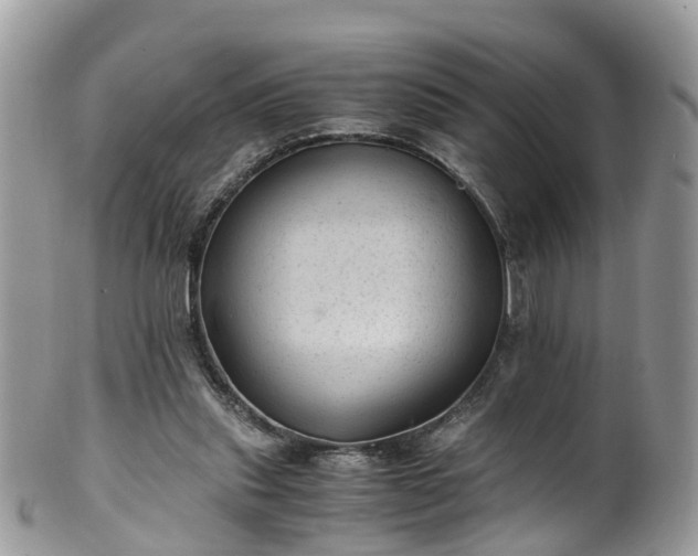 X0000100420253200806131105