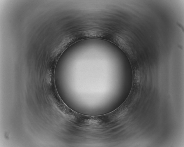 X0000100420255200806131105