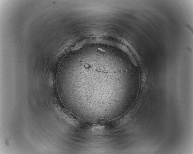 X0000100420257200806131105