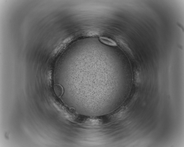 X0000100420260200806131105