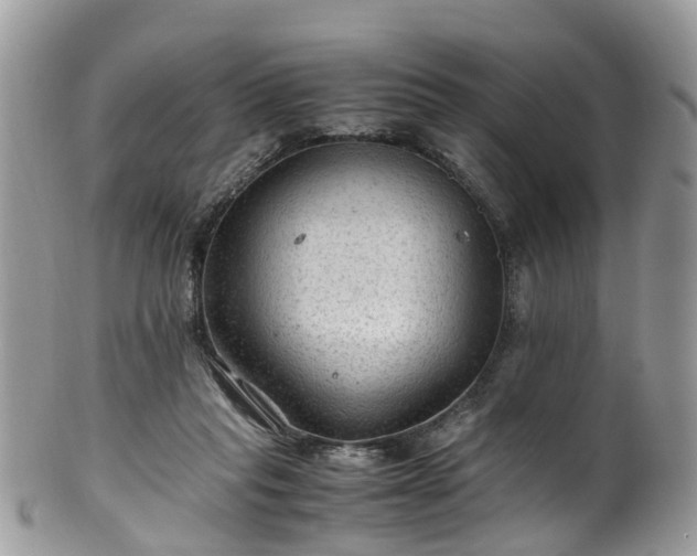 X0000100420261200806131105