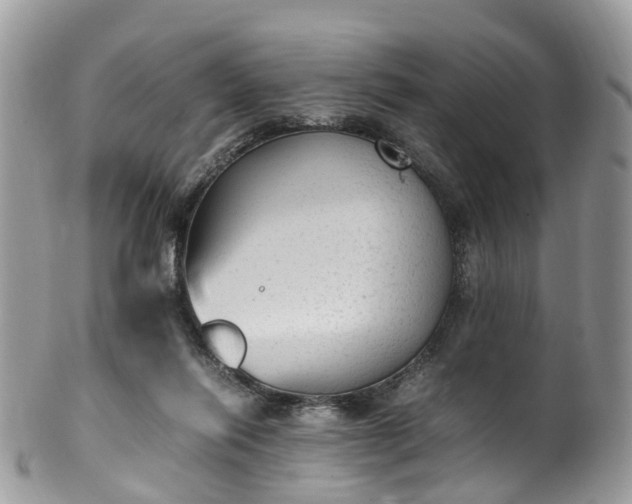 X0000100420262200806131105