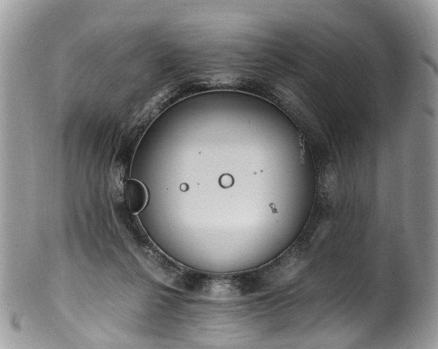 X0000100420264200806131105