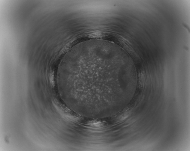 X0000100420267200806131105
