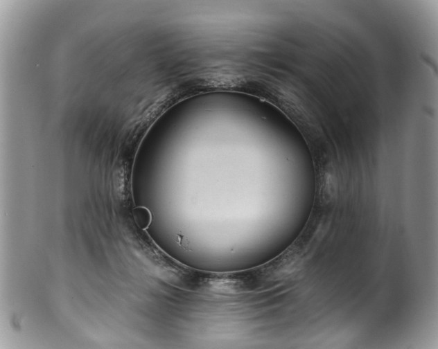 X0000100420268200806131105