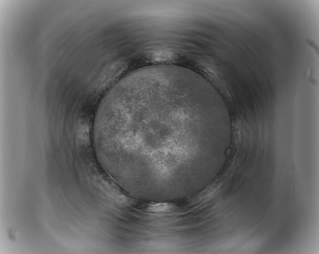 X0000100420269200806131105