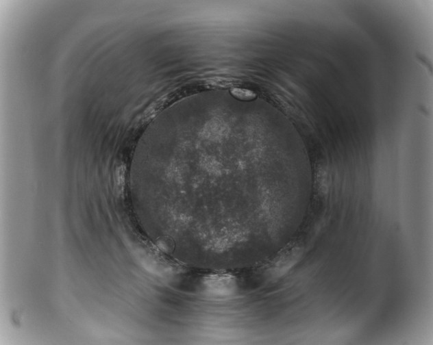 X0000100420271200806131105