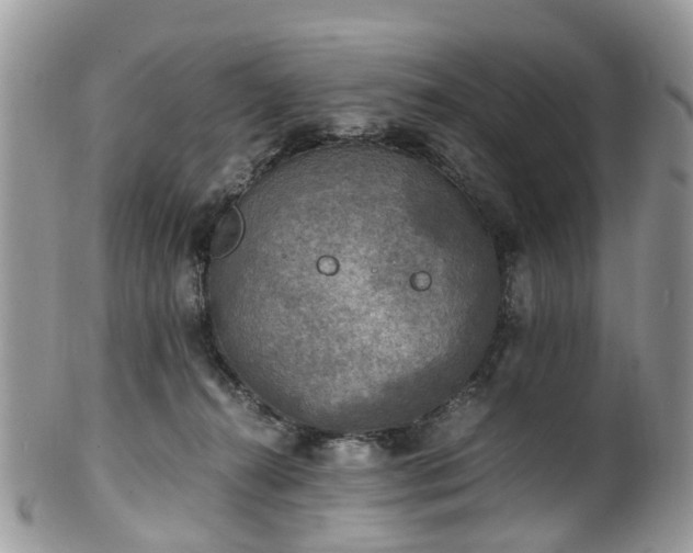 X0000100420272200806131105