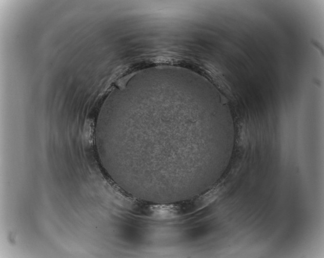 X0000100420273200806131105