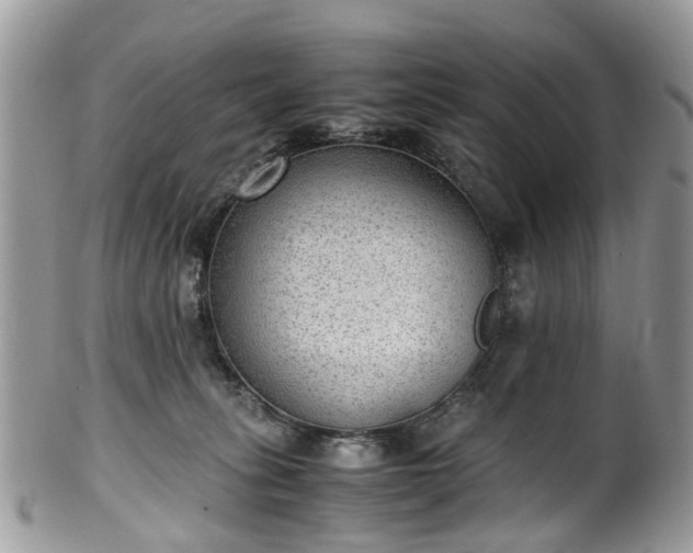 X0000100420275200806131105