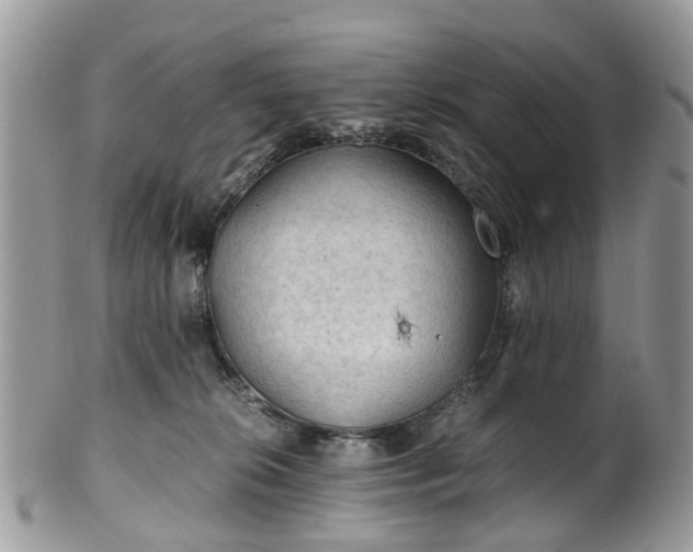 X0000100420276200806131105