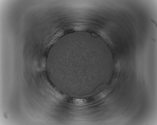 X0000100420277200806131105
