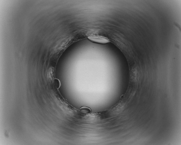X0000100420280200806131105