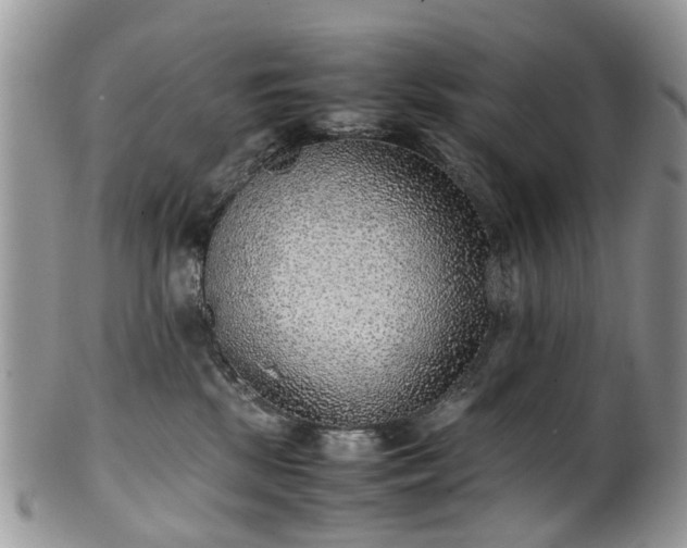 X0000100420281200806131105
