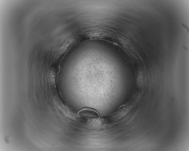 X0000100420282200806131105