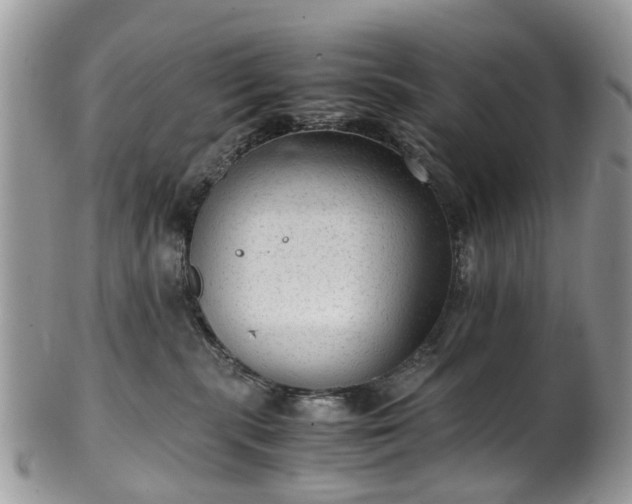 X0000100420283200806131105