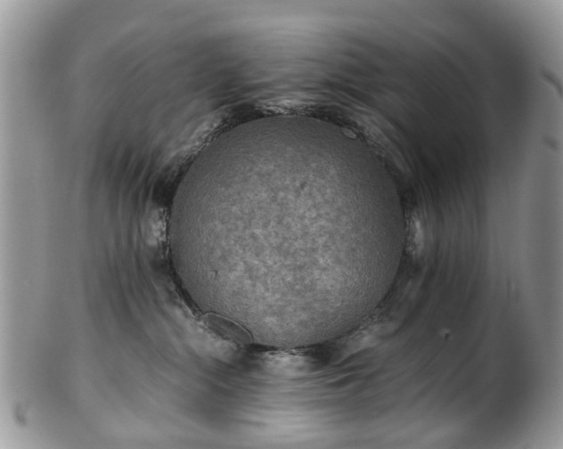 X0000100420284200806131105
