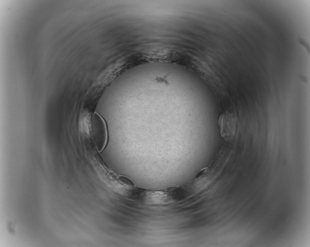 X0000100420287200806131105