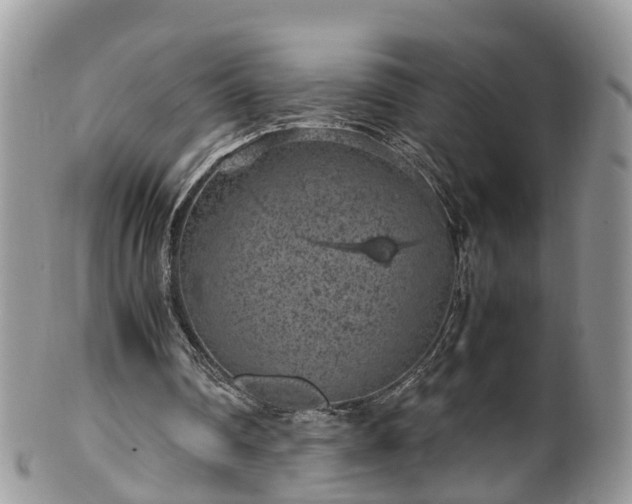 X0000100420290200806131105