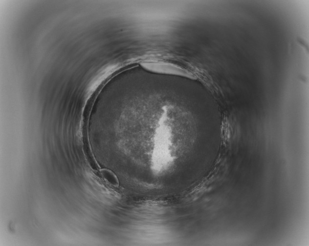 X0000100420292200806131105