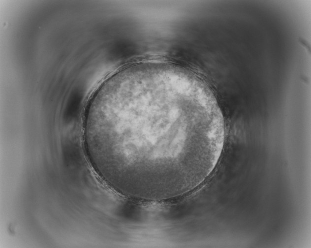 X0000100420293200806131105