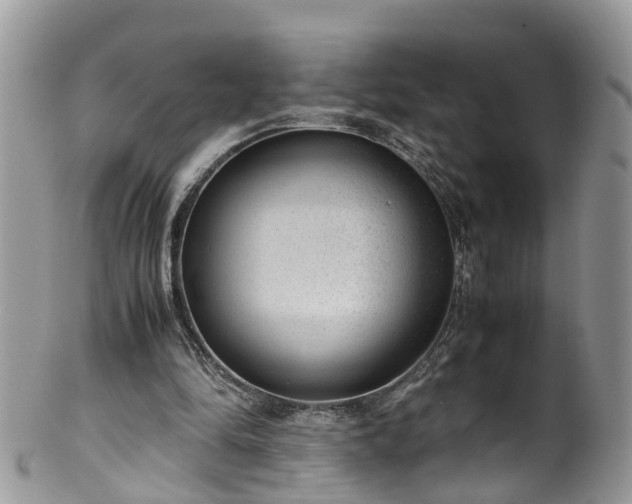 X0000100420294200806131105