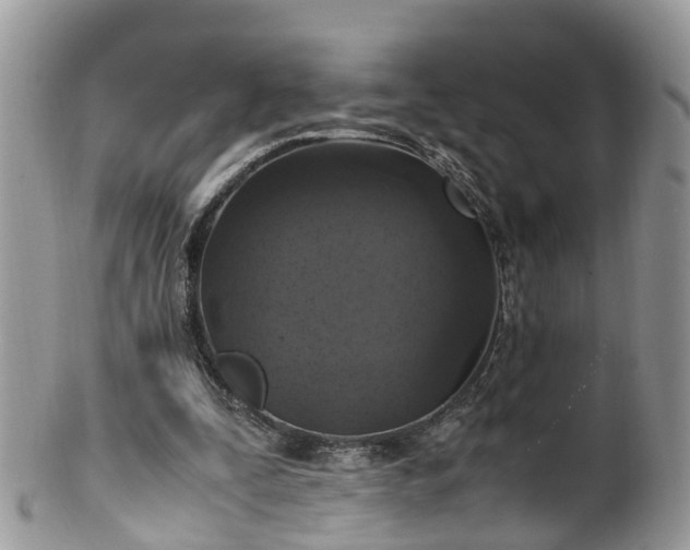 X0000100420295200806131105