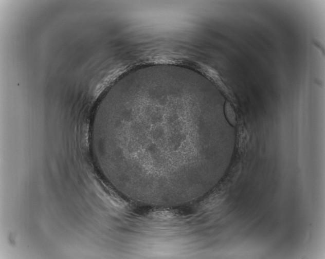 X0000100420299200806131105